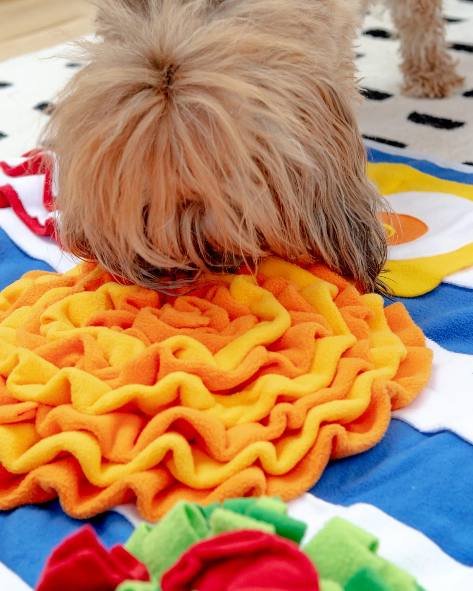 Breakfast Snuffle Mat for Dogs & Cats