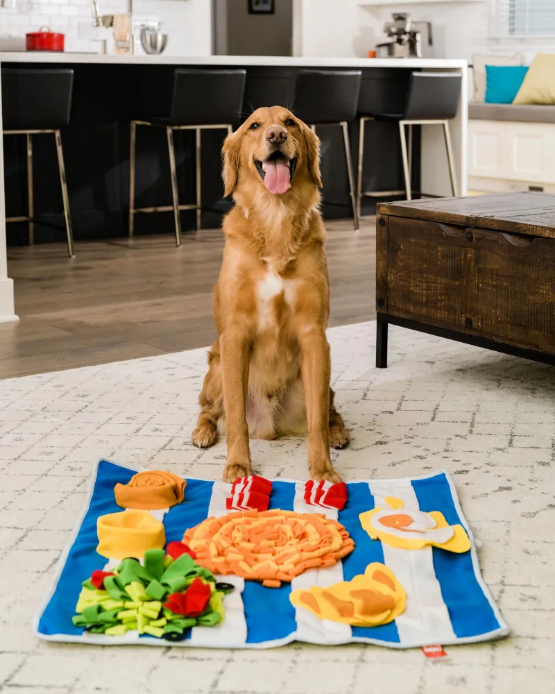 Breakfast Snuffle Mat for Dogs & Cats