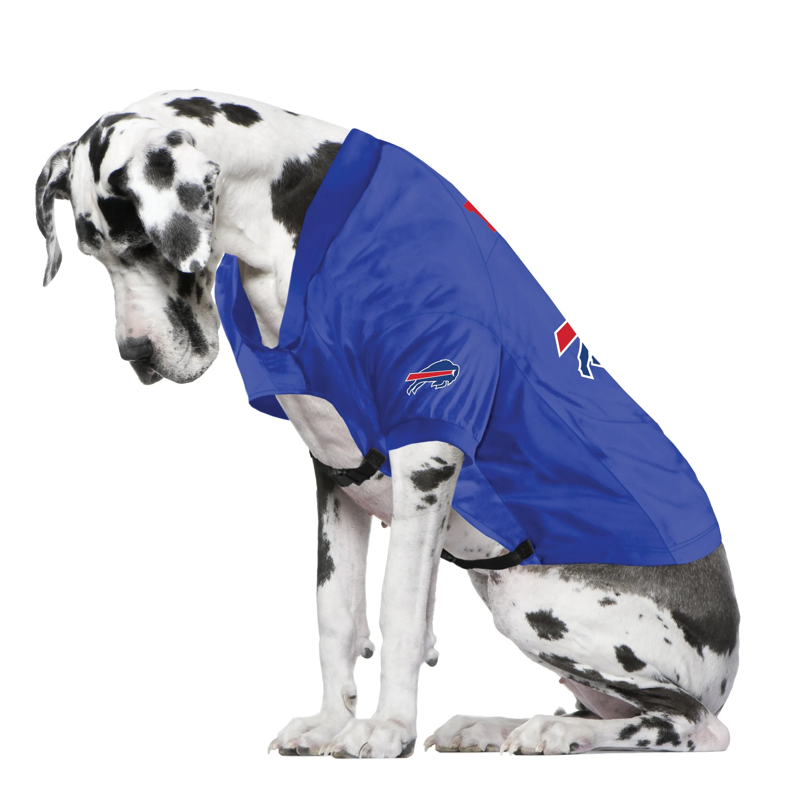 Buffalo Bills Big Pet Stretch Jersey