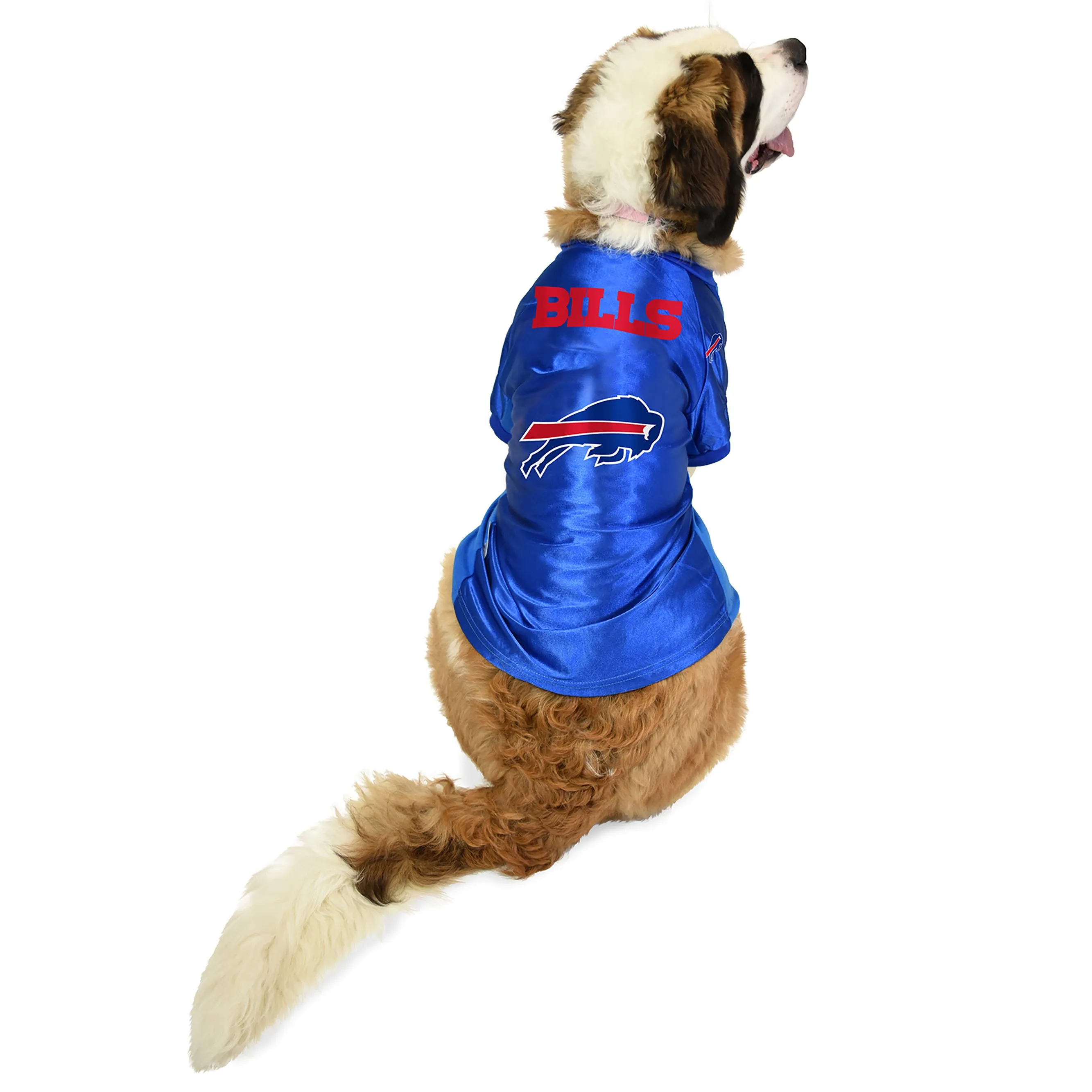 Buffalo Bills Big Pet Stretch Jersey