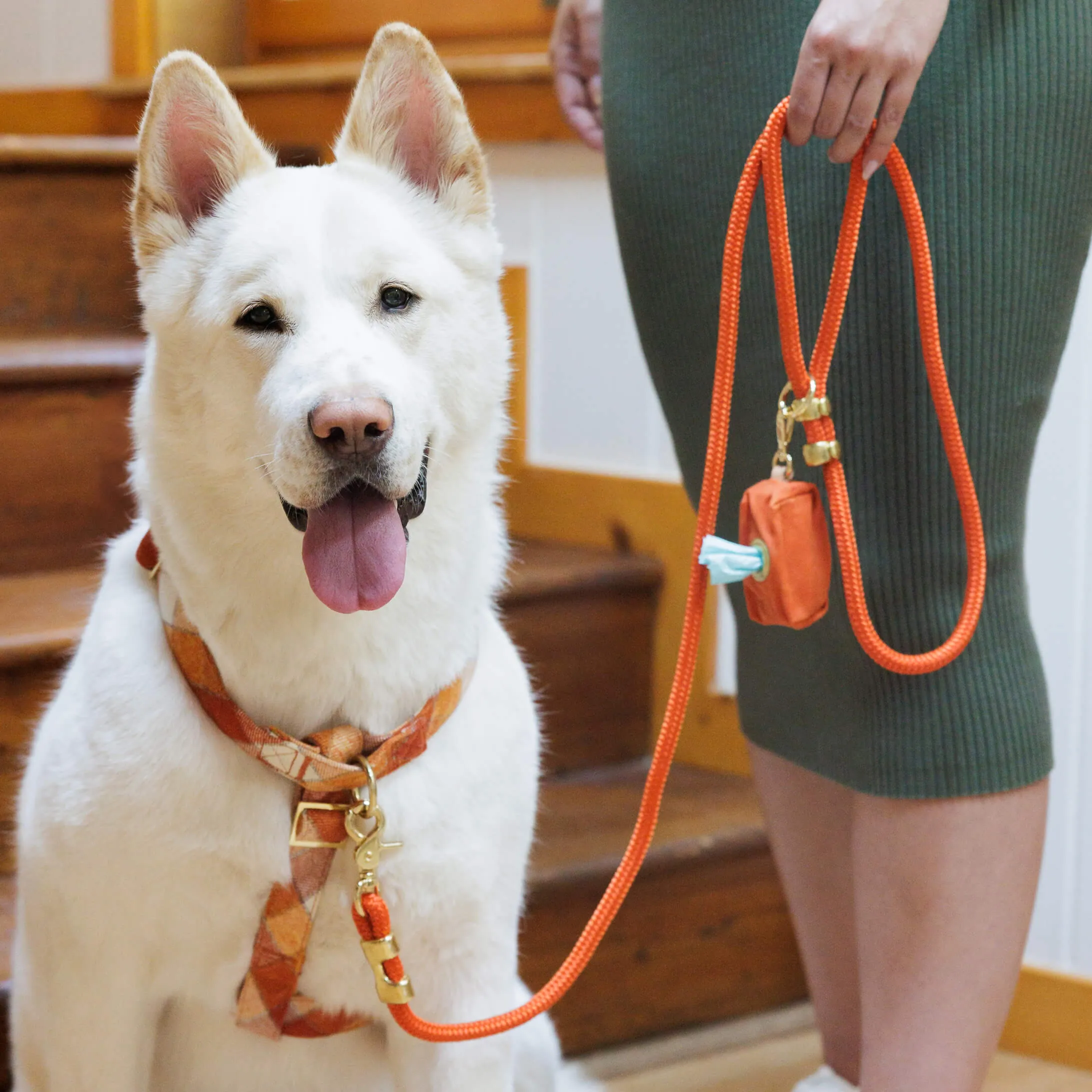 Cider Marine Rope Dog Leash