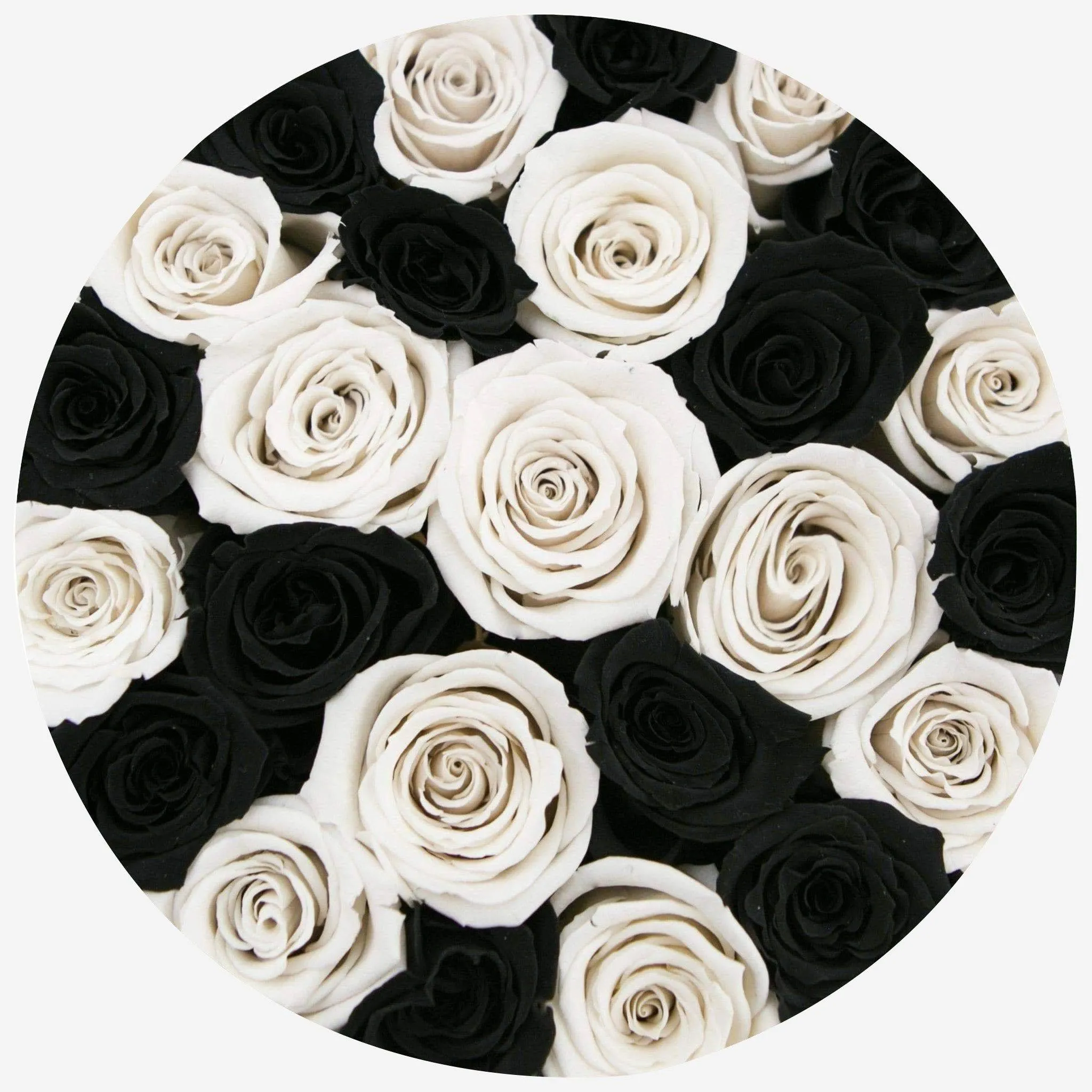 Classic Black Box | Black & White Roses