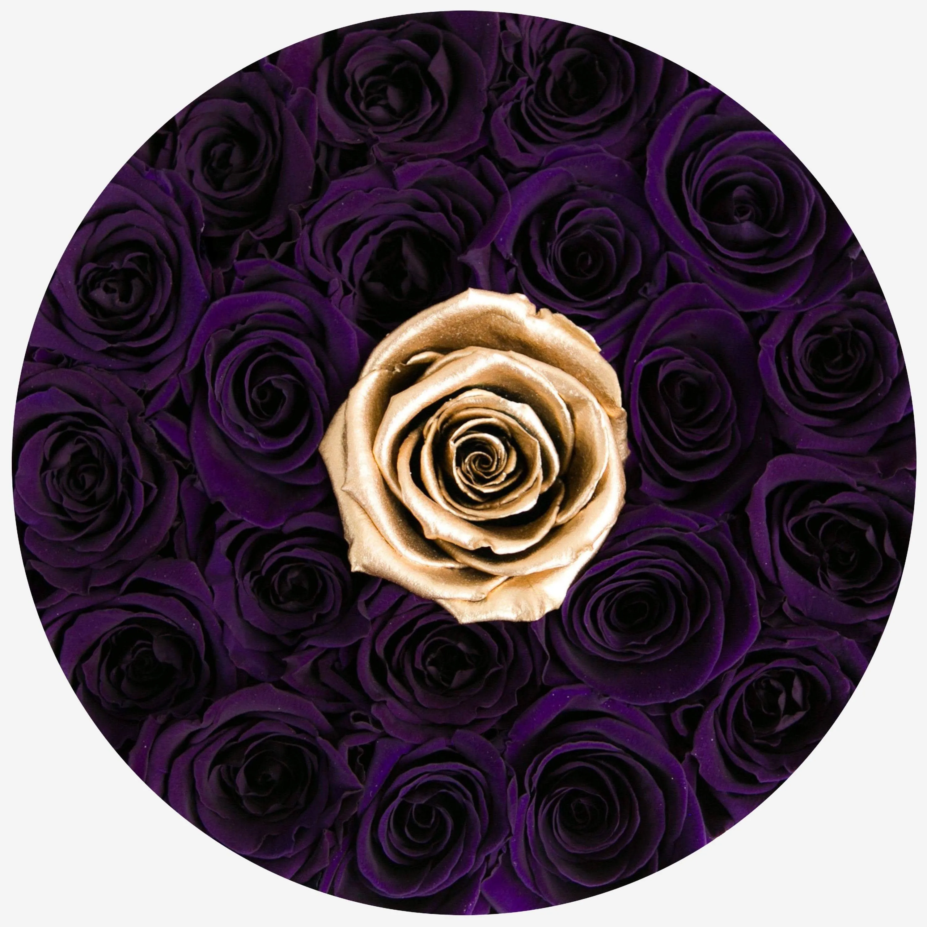 Classic Black Box | Dark Purple & Gold Roses