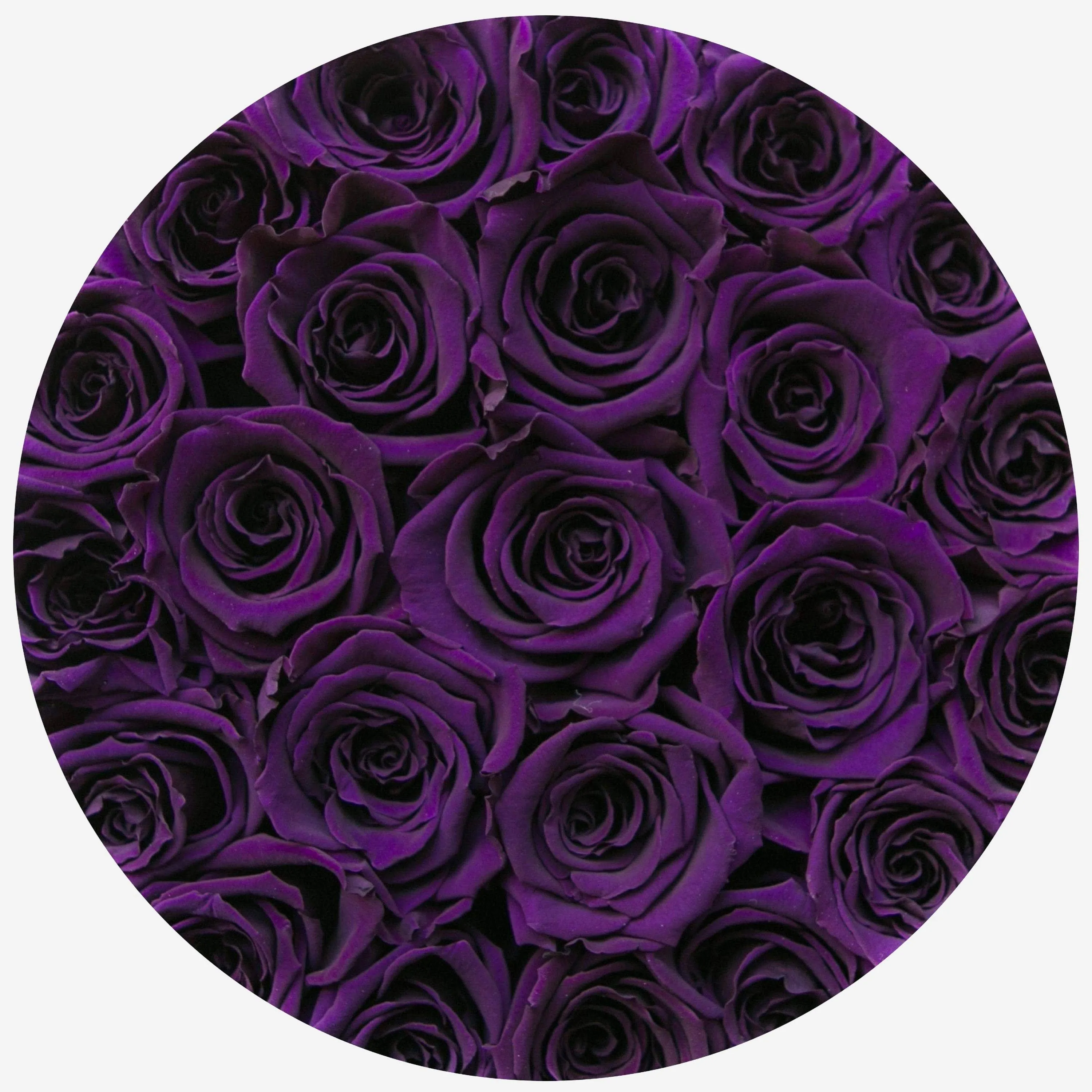 Classic Black Box | Dark Purple Roses