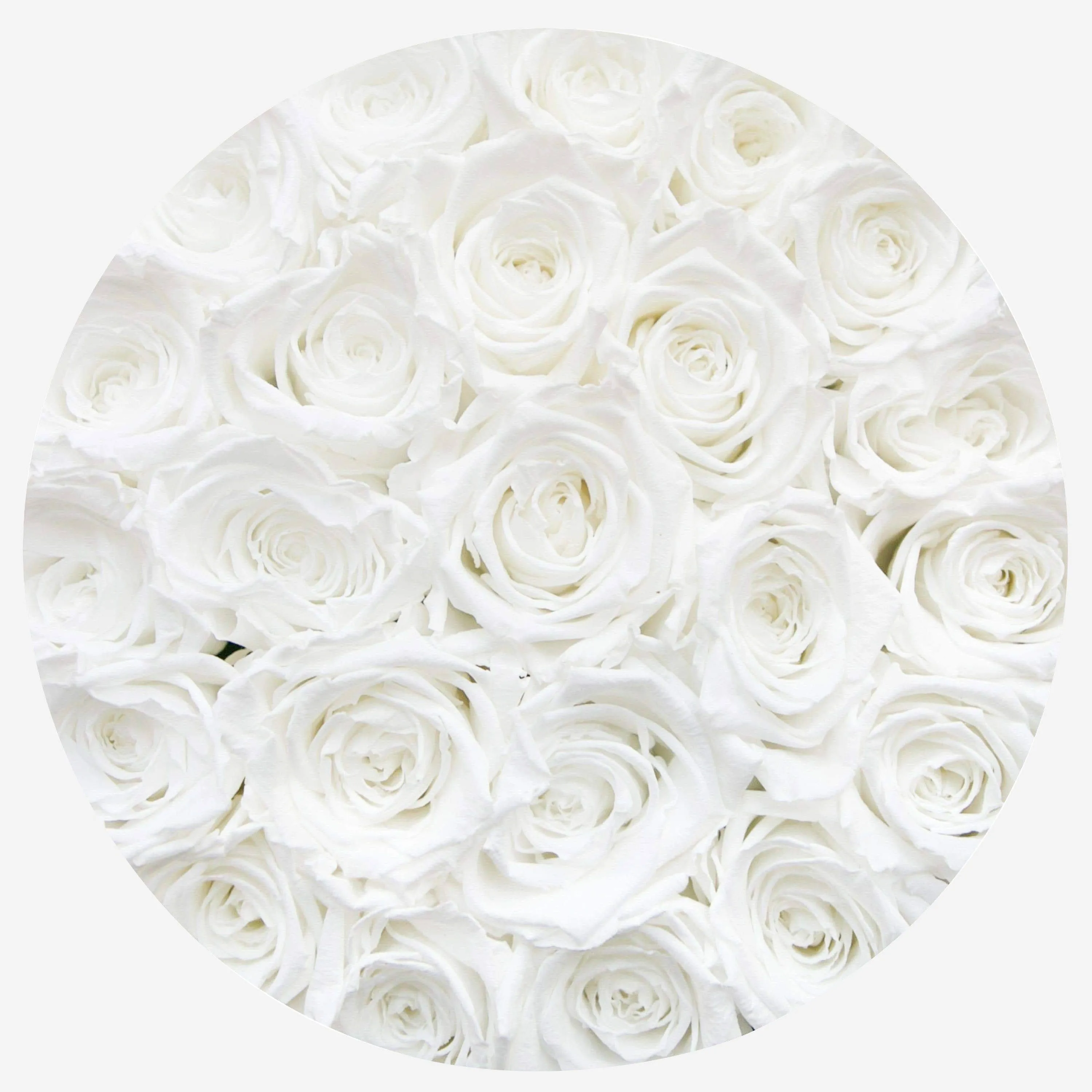 Classic Black Box | White Roses