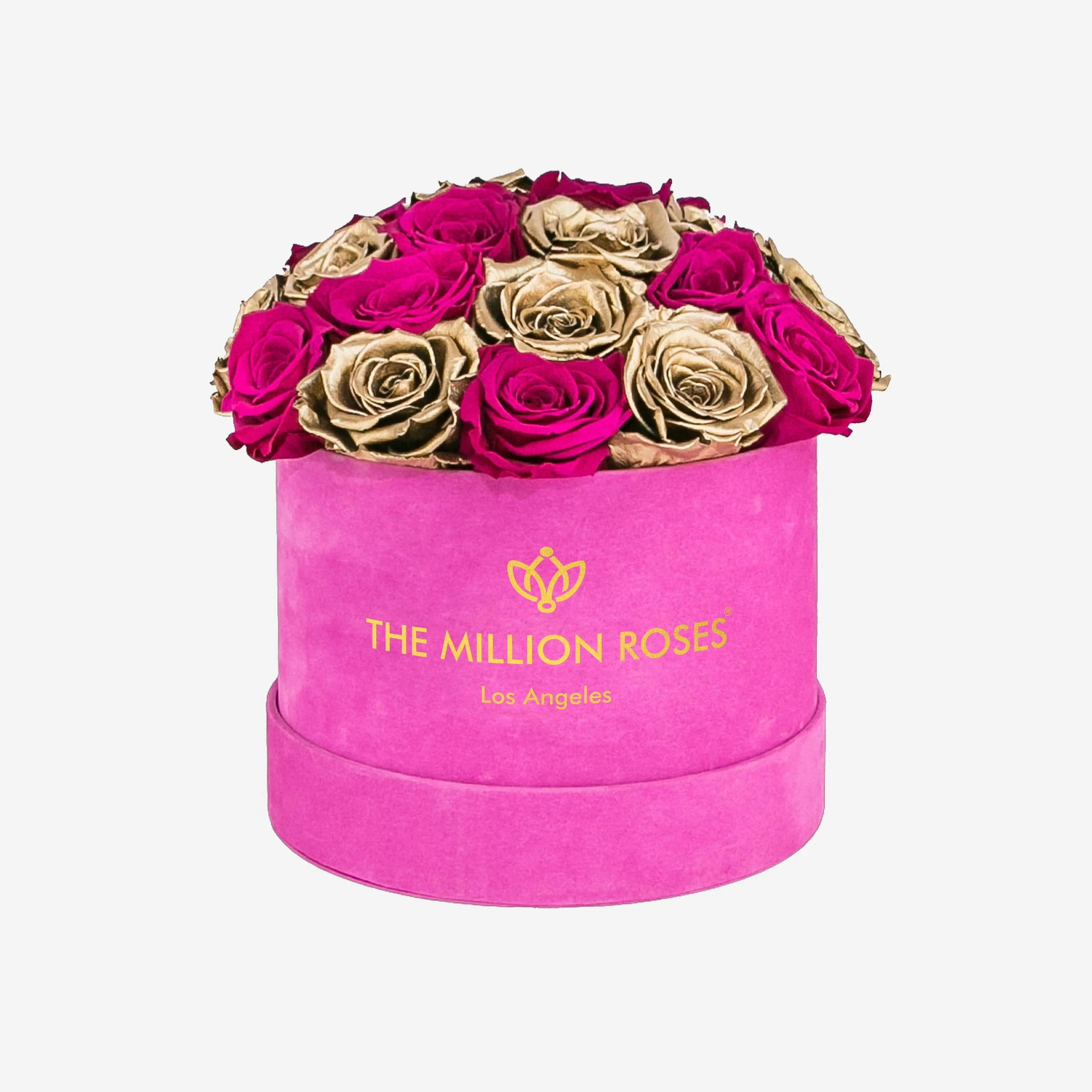 Classic Dome Hot Pink Suede Box | Neon Pink & Gold Roses