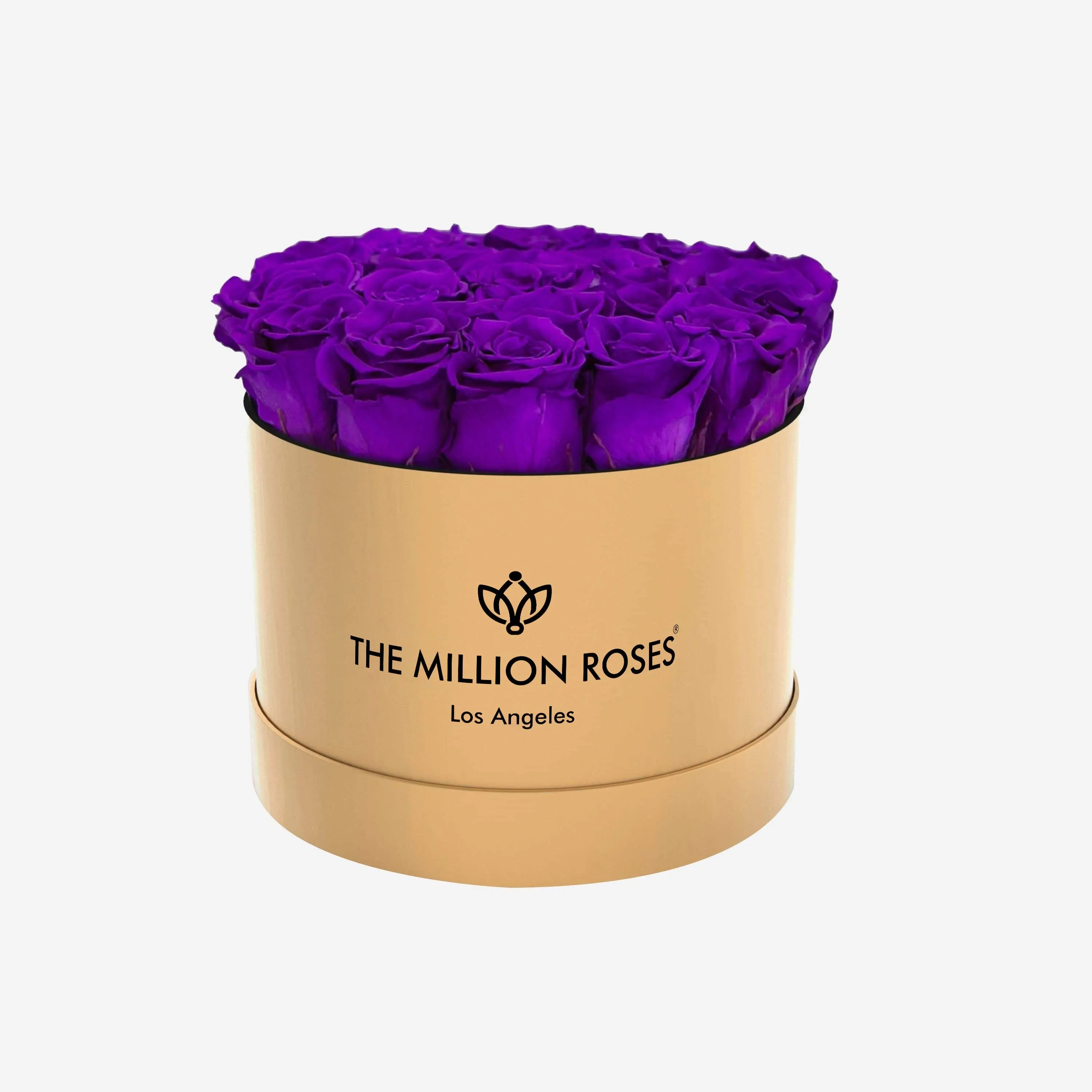 Classic Gold Box | Bright Purple Roses