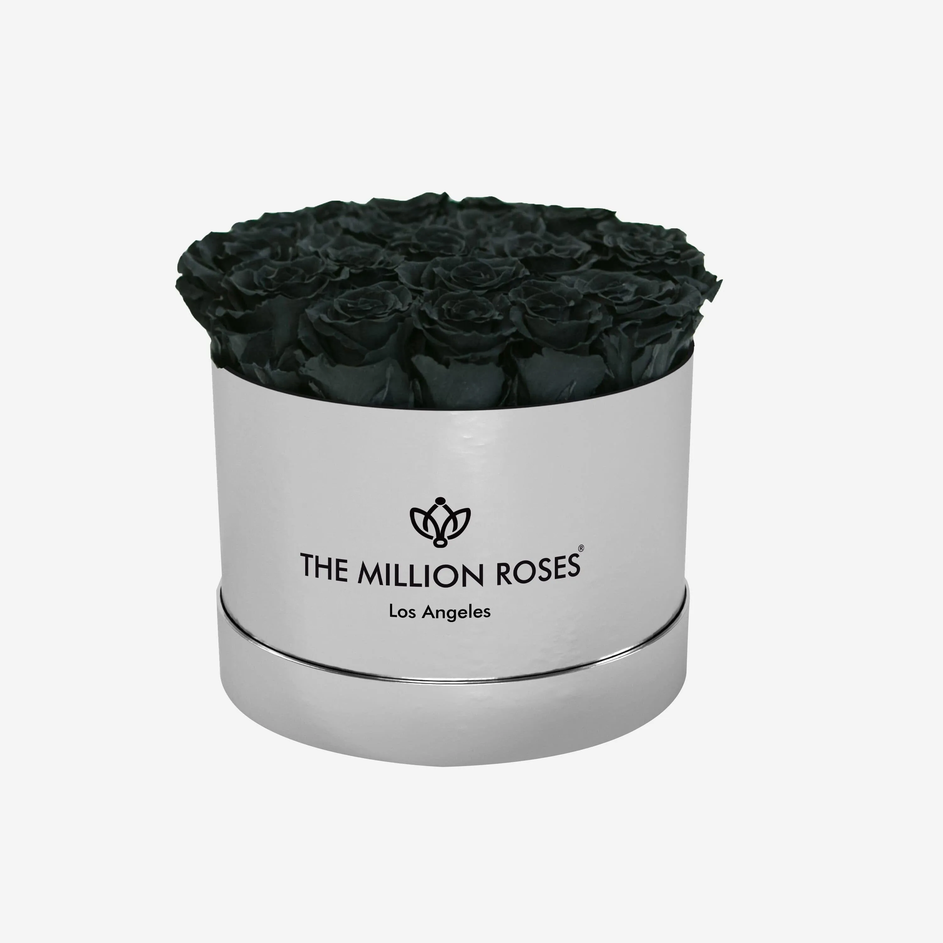 Classic Mirror Silver Box | Black Roses