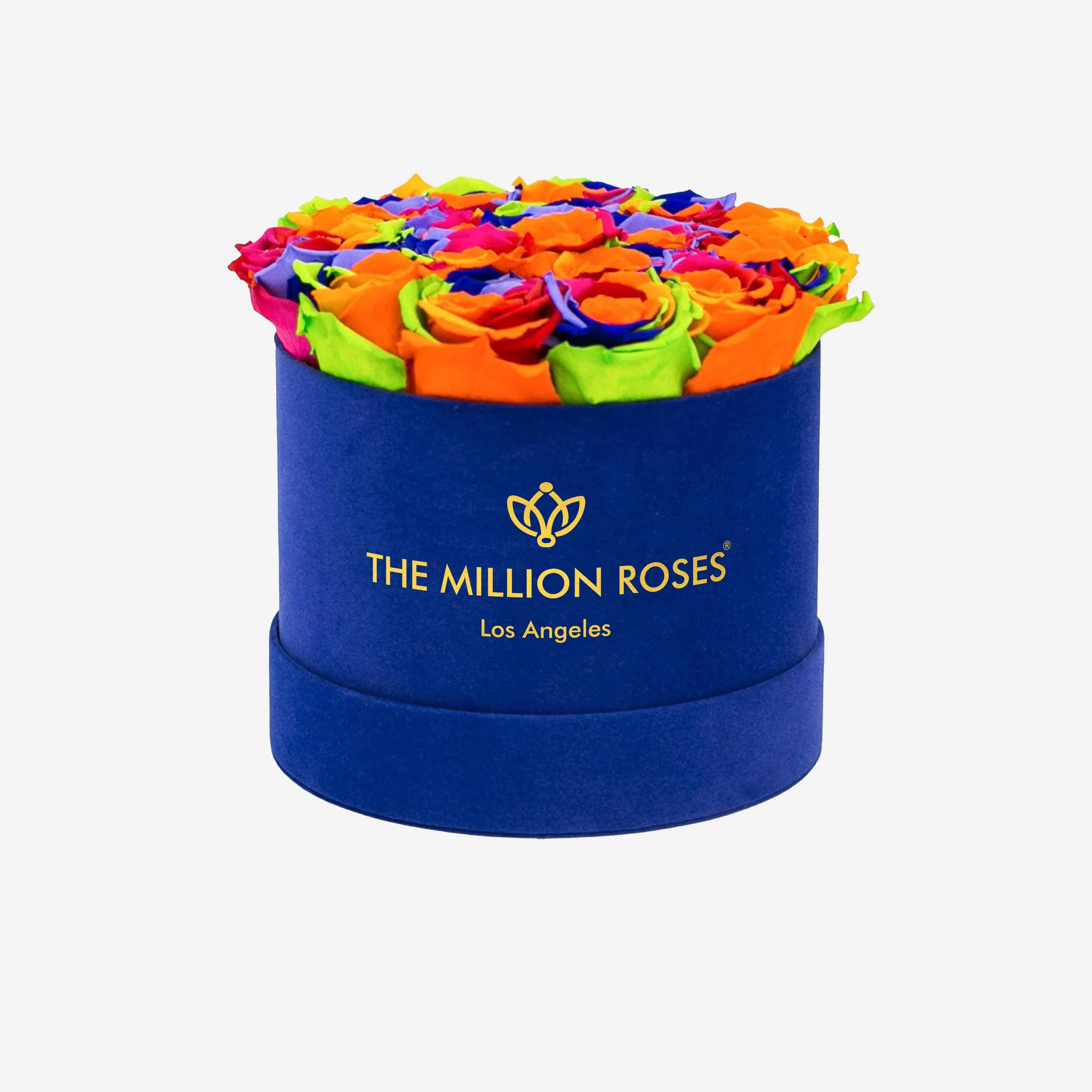 Classic Royal Blue Suede Box | Rainbow Roses