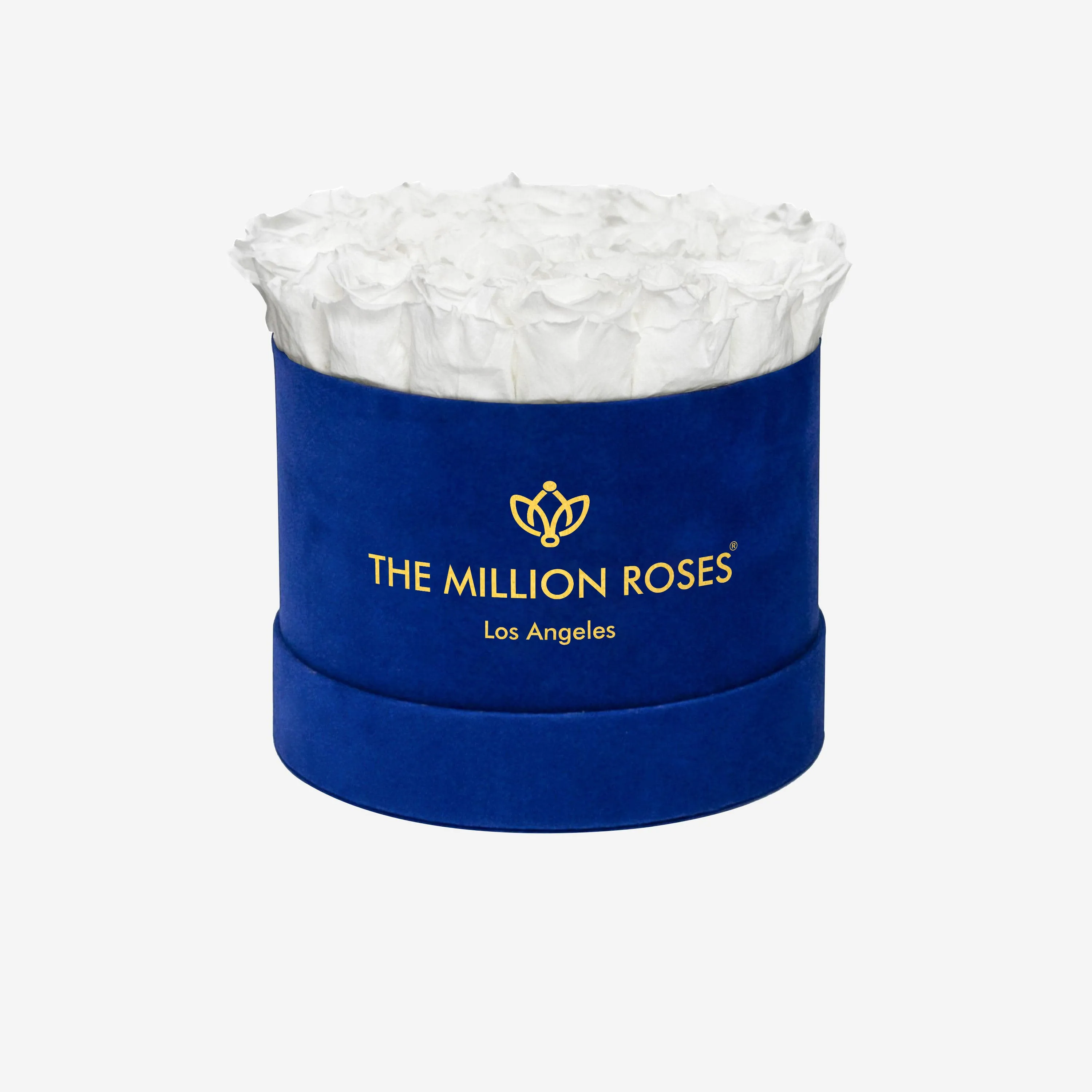 Classic Royal Blue Suede Box | White Roses