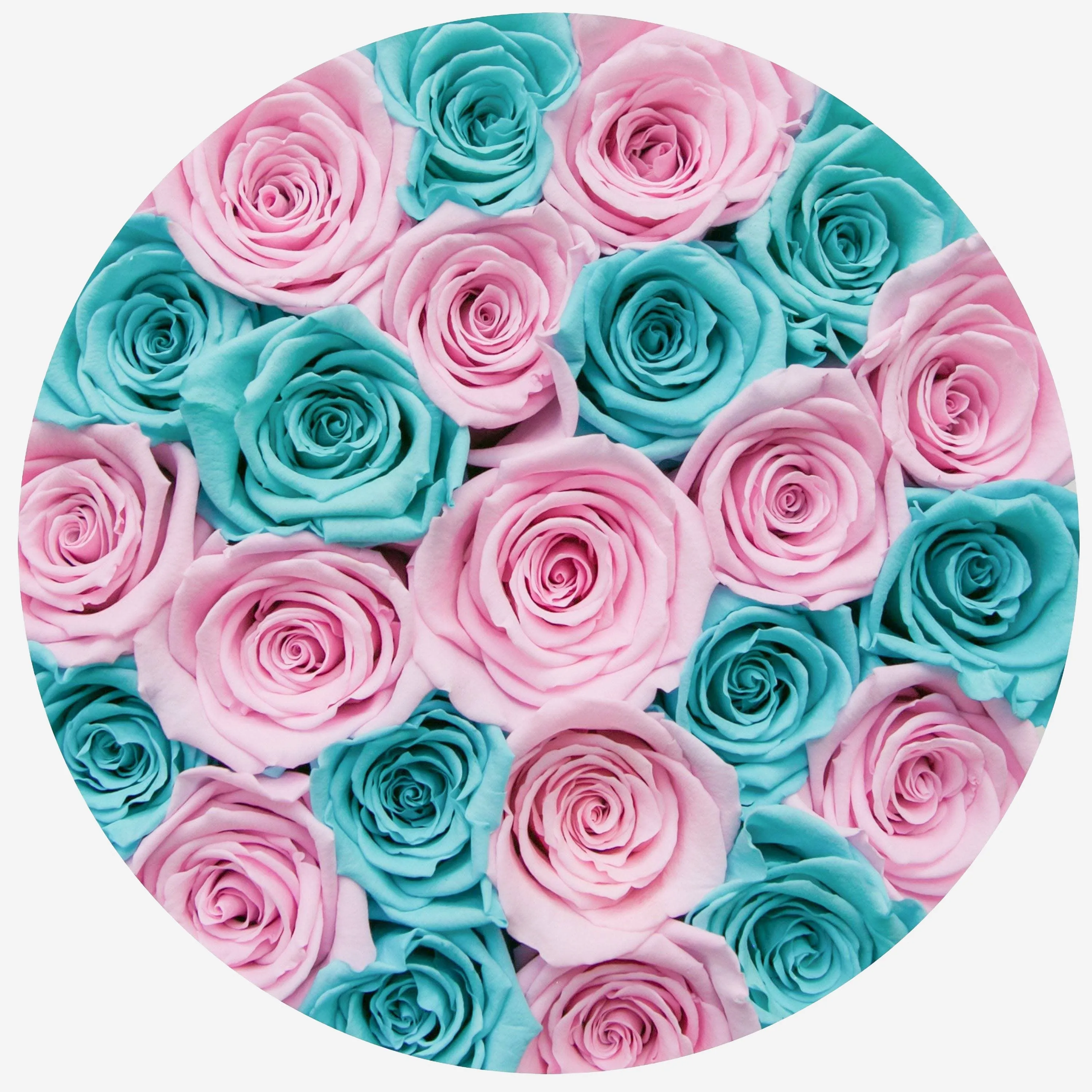 Classic White Box | Turquoise & Light Pink Roses