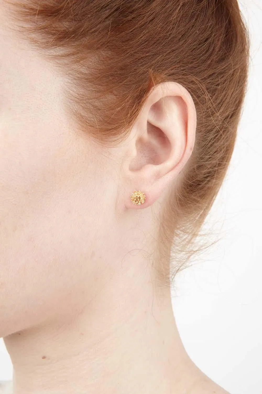 Gone To Seed Earrings - Small Stud Gold