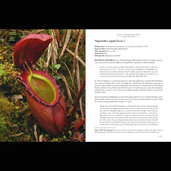 Nepenthes-The Tropical Pitcher Plants, Volumes 1-3, Redfern Press