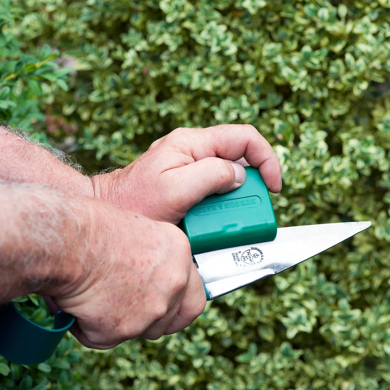 Topiary Trimming Shear Sharpener